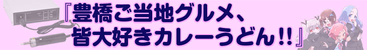 豊橋ご当地グルメ、皆大好きカレーうどん!!