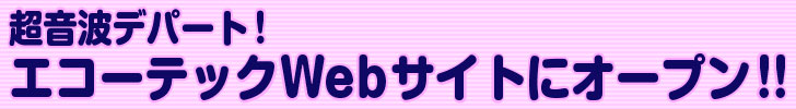 超音波デパート! エコーテックWebサイトにオープン!!