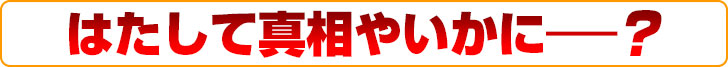 次回のもけ部通信に続く!!